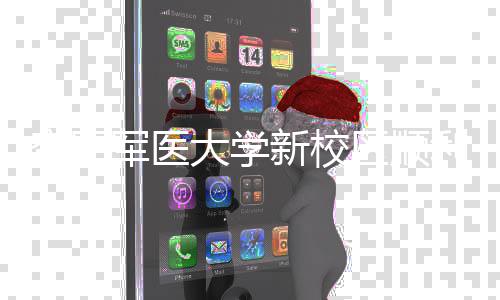 年整利竣大学工 体搬区顺迁新校空军军医计划